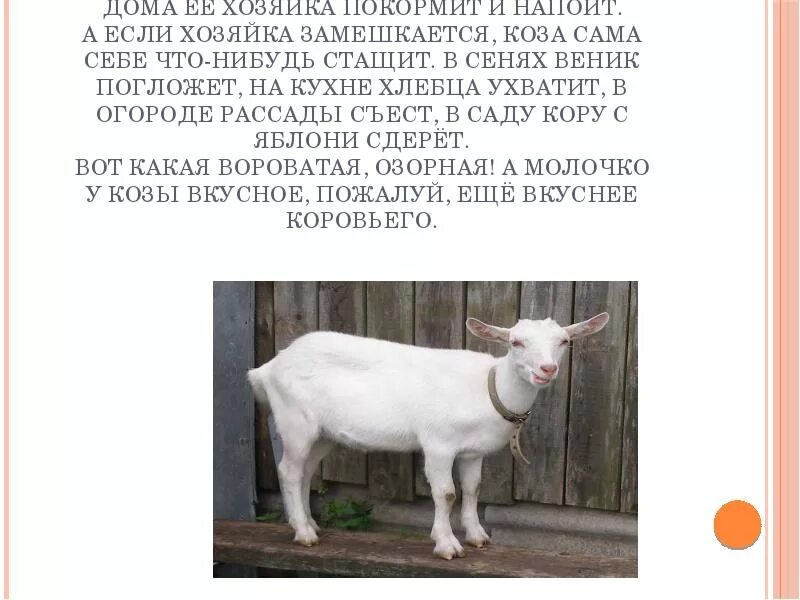 Забодает коза. Жила на свете коза хозяйка у нее. Жила на свете коза хозяйка у нее. Старушка с козленком. Стихи с юмором.