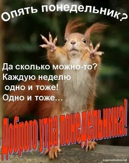 Про добрый понедельник