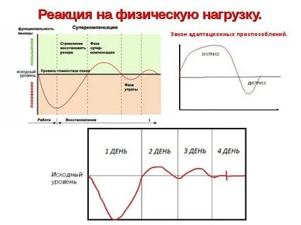 Восстановление организма после физической нагрузки