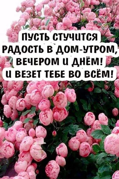 Пусть стучится радость в дом утром. Пусть стучится счастье в дом утром вечером и днём. Пусть в ваши двери стучится счастье. Пусть стучится радость в дом утром вечером и днём картинки. Пусть стучится в дверь