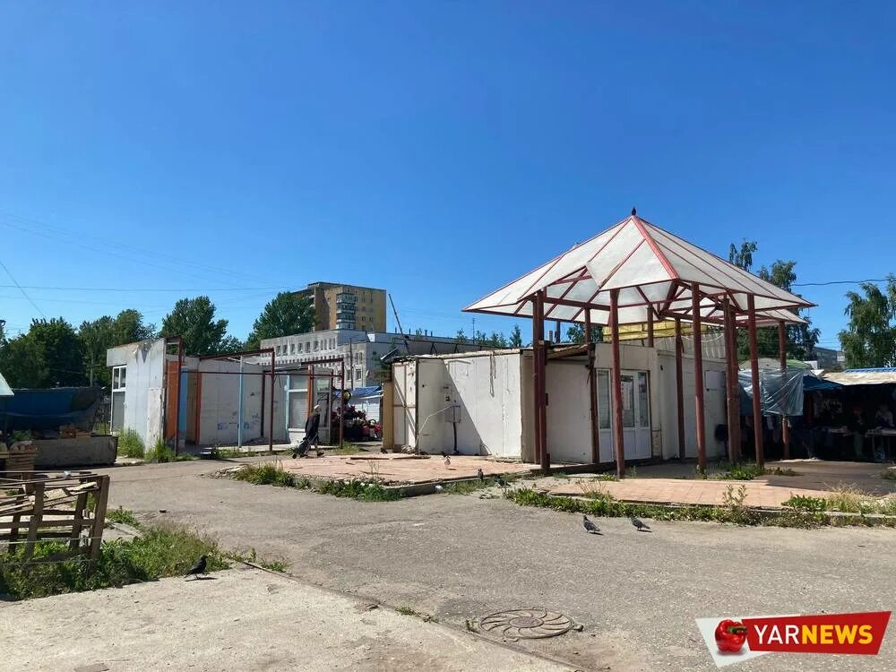 Заволжский рынок Ярославля навязывал предпринимателям двойную плату за места - Y