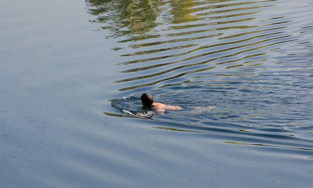 Человек плывет по реке. Купание на речке. Плавать в озере. Купаемся на речке. Плавать в реке.