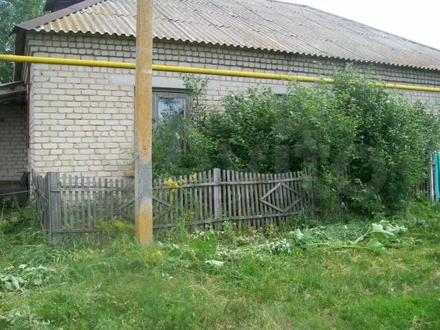 Березово острогожский. Березово острогожский. С березово воронежская область. Березово острогожский. Березово острогожский.