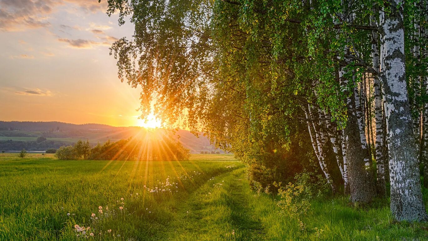 Солнечный пейзаж. Рассвет солнца. Красота русской природы. Летний пейзаж. Придет светлый день
