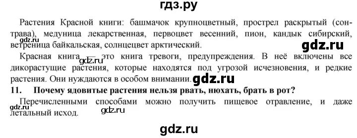 История 5 класс параграф 41 читать. История 5 класс параграф 41. История 5 класс вигасин параграф 41 конспект.