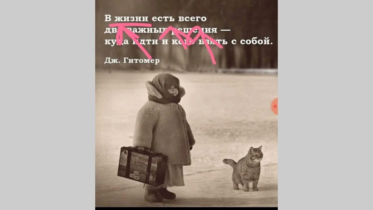 А я дал не взял