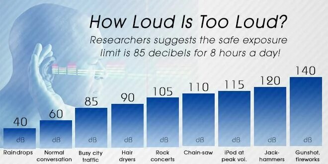 80 децибел. Самые громкие звуки в децибелах. Картофель децибел Decibel. How Loud is 21db. Decibel Merchandise who is the Loudest.