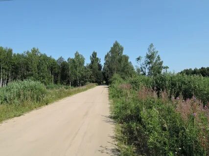 Ярославская область бурмакина