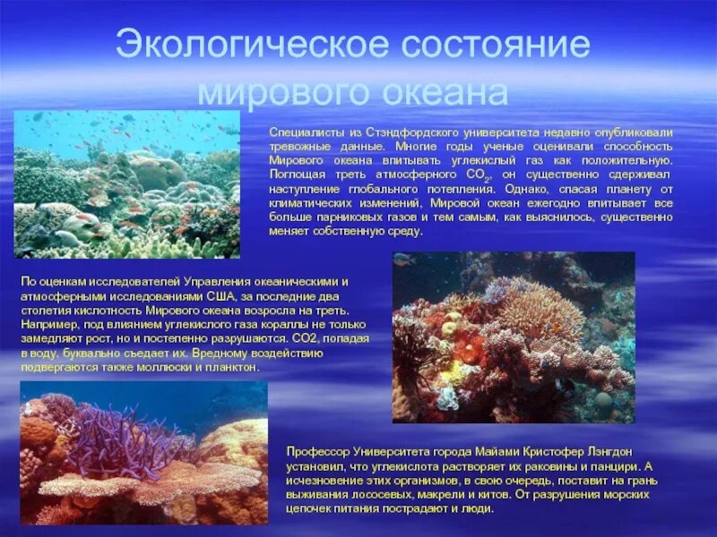Сообщение на тему жизнь в мировом океане. Экологическое состояние мирового океана. презентация на тему мировой океан. сообщение о мировом океане. влияние мирового океана.