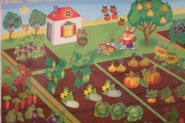Тема сад огород в подготовительной группе. Огород для дошкольников. Огород с овощами для детей. Грядка с овощами для детей. Огород в детском саду.