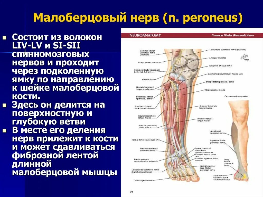 Сенсорное поражение нижних конечностей