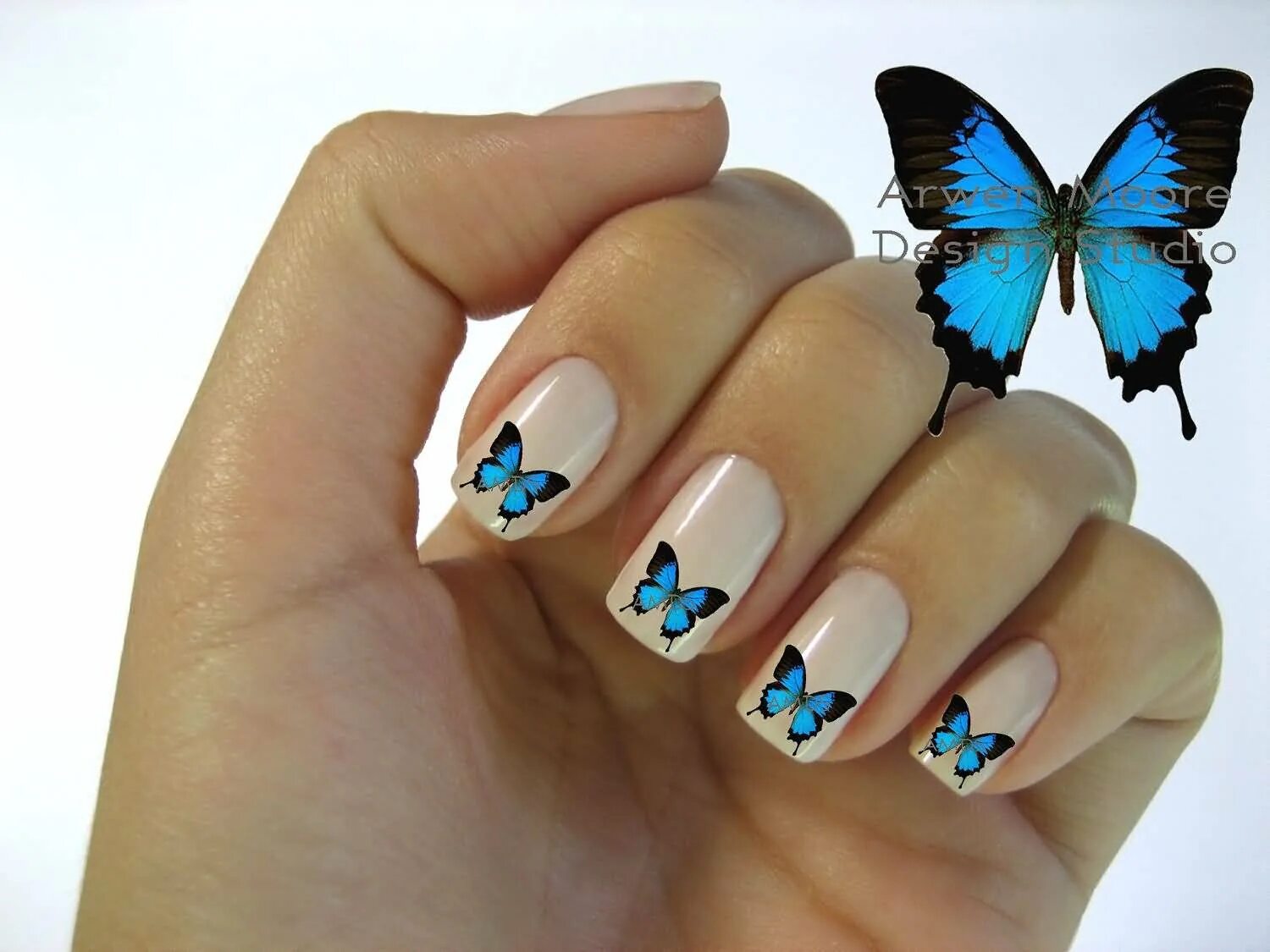 Френч с бабочками. Ногти с бабочками. Маникюр бабочки на ногтях. Красивые ногти с бабочками. Маникюр с бабочками на короткие ногти.