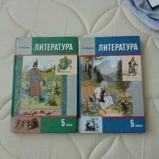 Литература 5 класс г