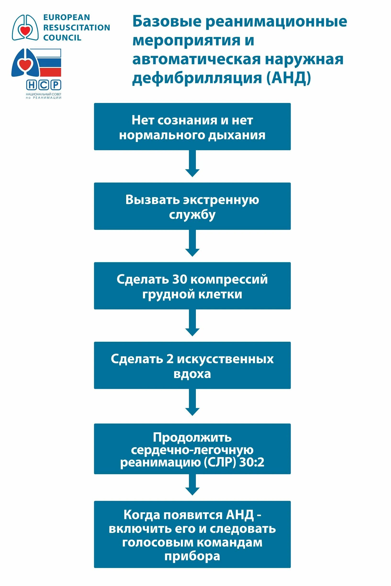 Мероприятия базовой сердечно легочной реанимации. Алгоритм базовых реанимационных мероприятий. Алгоритм базовых реанимационных мероприятий СЛР. Сердечно-легочная реанимация алгоритм. Алгоритм европейского реанимационного совета.