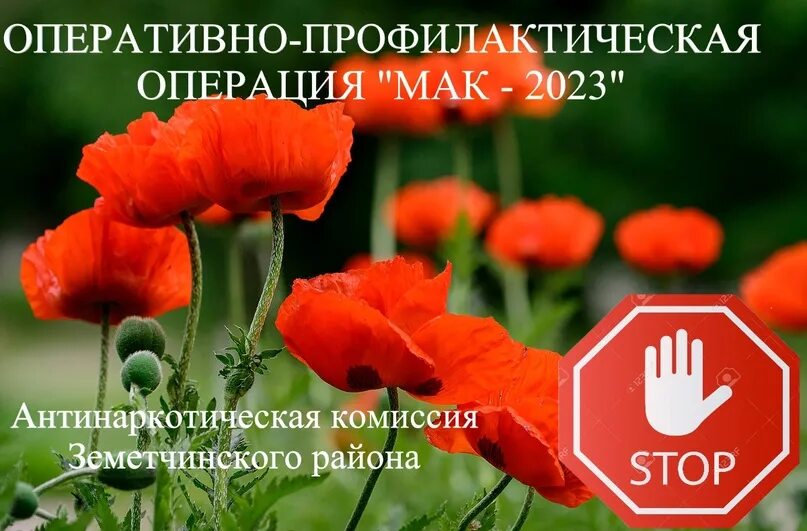 Оперативно профилактической операции мак. Мак 2025. опм мак. новости про мак. хуст мак 2025.