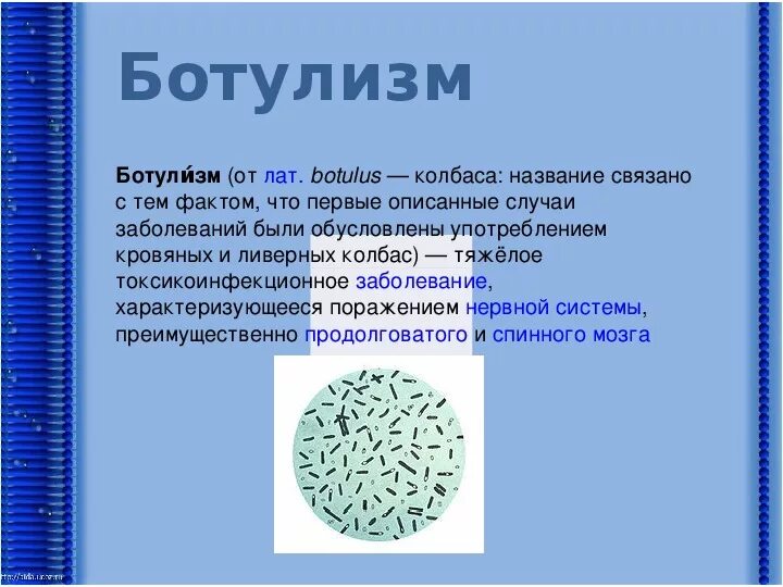 Общая характеристика бактерий 7 класс биология презентация. Понятие о микроорганизмах. Понятие о микробах. Термины бактерии. Интересные факты о бактериях.