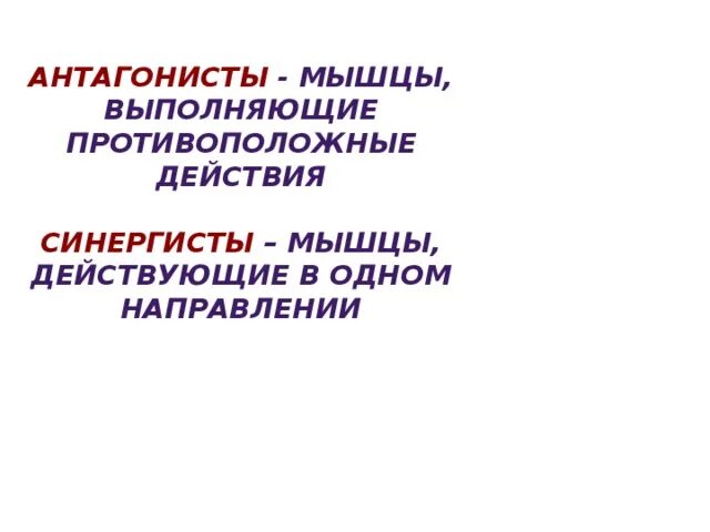 Противоположные мышцы. Противоположные мышцы