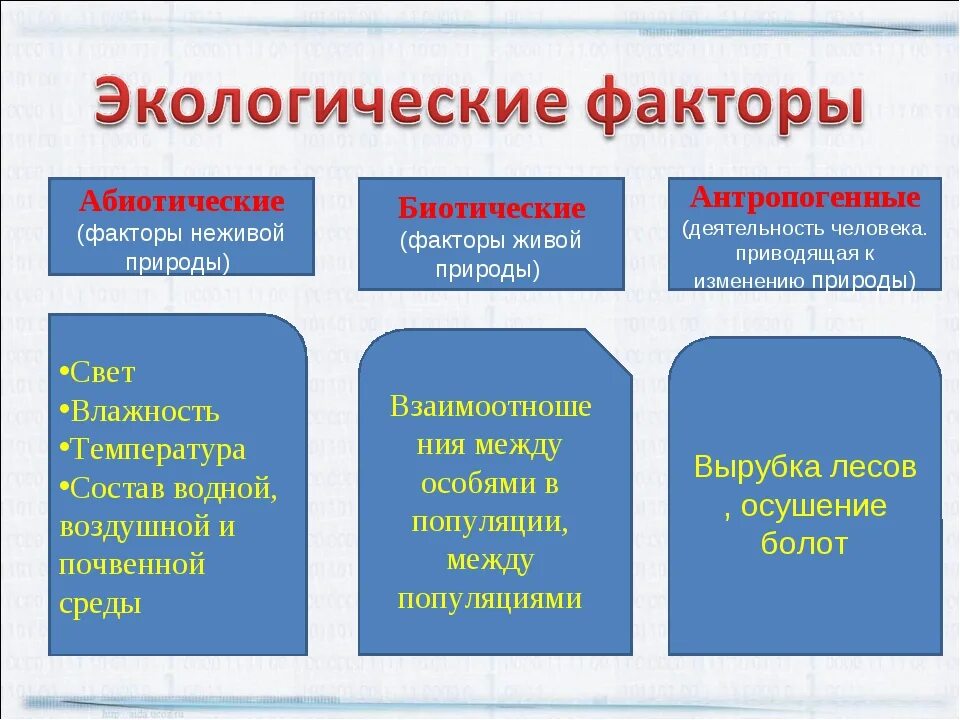 Антропогенные факторы аквариума. Абиотические и биотические таблица. Факторы среды абиотические биотические антропогенные. Абиотические биотические и антропогенные факторы. Экологические факторы абиотические биотические антропогенные.