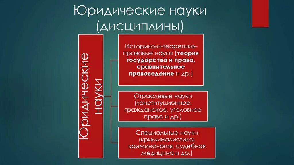 Правовые дисциплины тесты. Юридические науки. Историко правовые дисциплины. Специальные юридические дисциплины. Сравнительное правоведение ТГП.