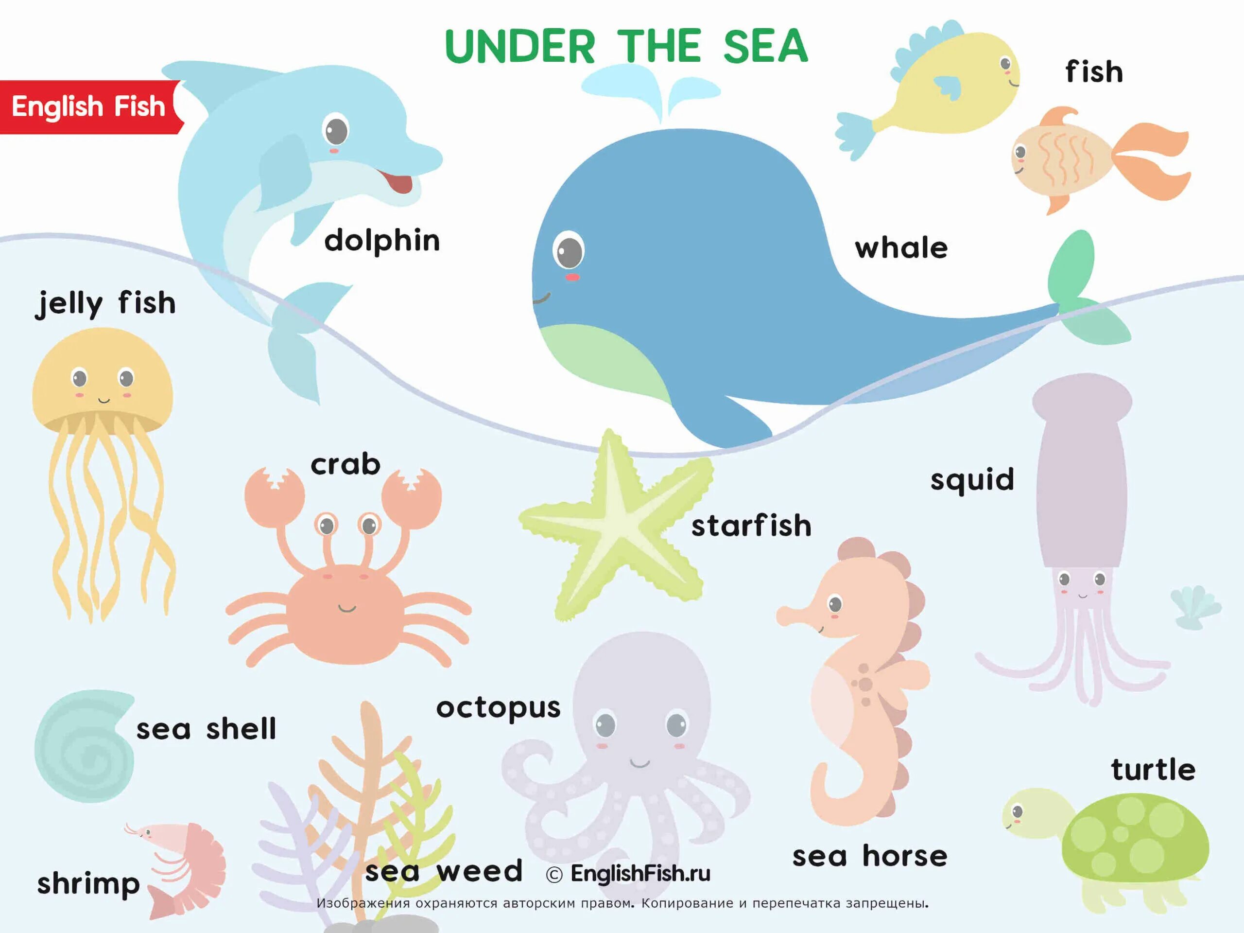 Как будет по английскому морская. Морские жители на английском. Морские животные на английском для детей. Обитатели моря для детей. Sea animals для детей.