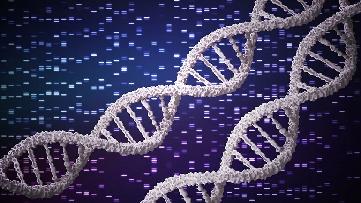 Gene effect
