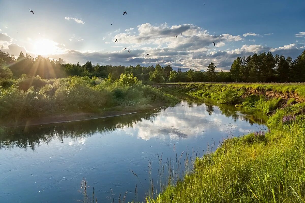 река вахчелка в киржаче. река киржач владимирская область. река киржач. река киржач владимирская область. река киржач фото.