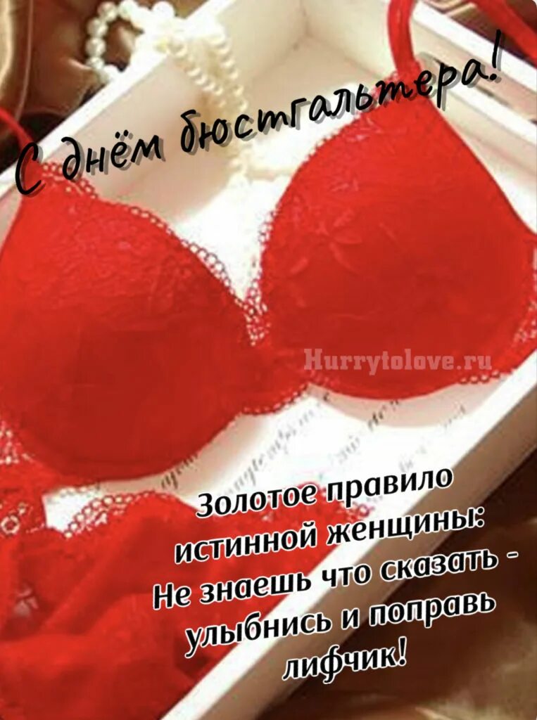 День бюстгальтера. Видео с др с лифчиком. День бюстгальтера картинки. День бюстгальтера. День бюстгальтера поздравления.