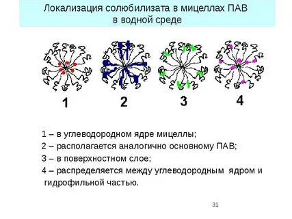 Пав 7
