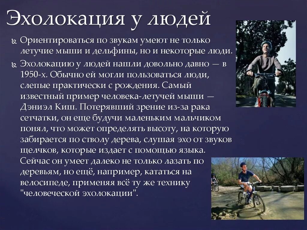 Эхолокация у животных. Эхолокация у человека. эхолокация развита у. эхолокация в технике. эхолокация это в биологии.