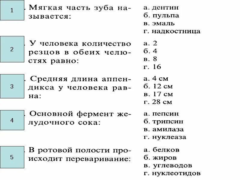 Тест по теме проект с ответами Итоговый тест функциональная грамотность ответы