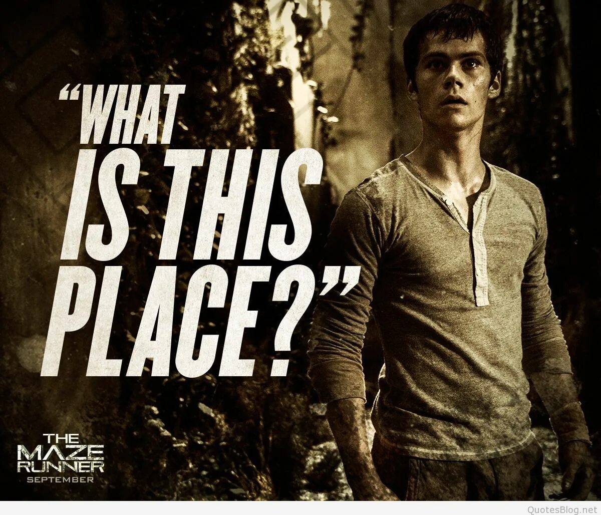 Сбежать на английском. The Maze Runner. The Maze Runner 2014 poster. Бегущий в лабиринте the Maze Runner.