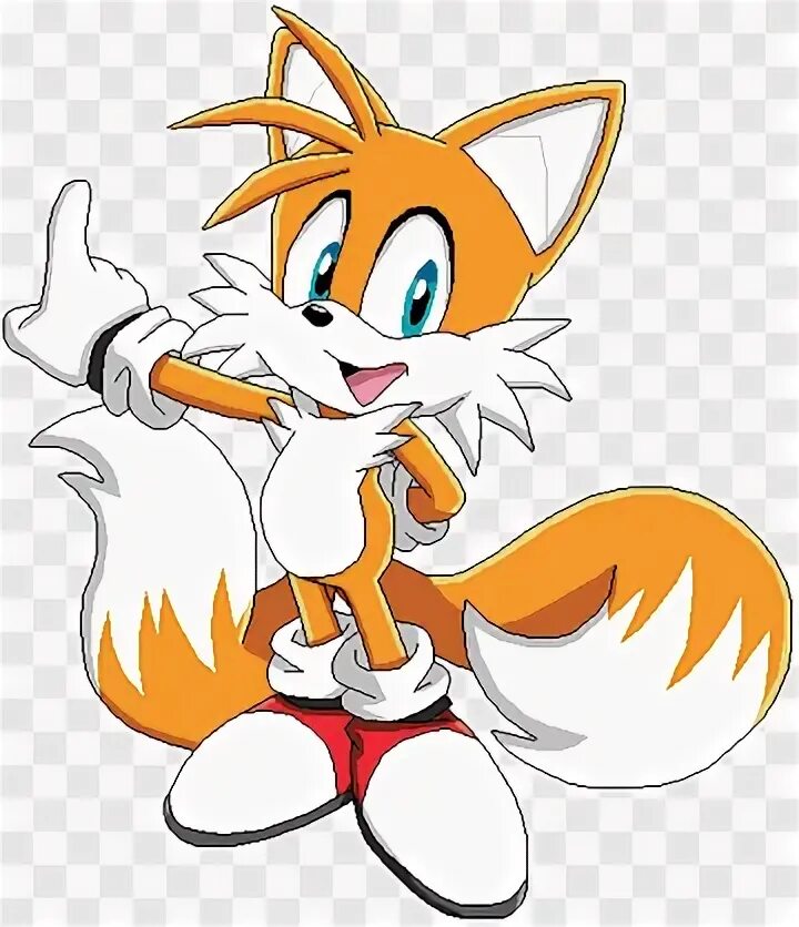 Tails программа