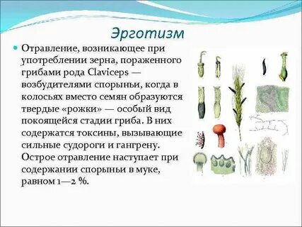 Эрготизм симптомы