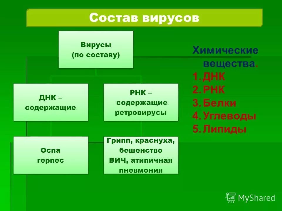 Вирусы состоят из нуклеиновой кислоты. Строение и химический состав вирусов. Состав вируса. Строение структура и химический состав вирусов. Химический состав вирусов. Структура вирусов..