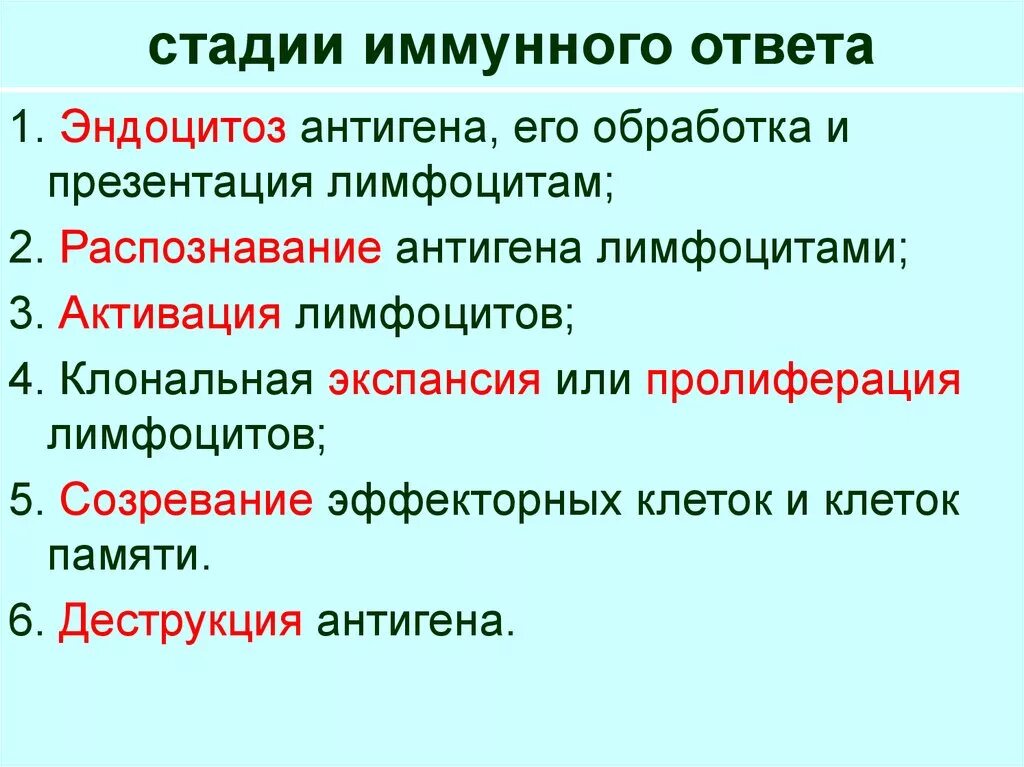 Основные стадии иммунного ответа организма 5. Этапы развития иммунного ответа иммунология. Этапы клеточного иммунного ответа иммунология. Стадии и фазы иммунного ответа. Этапы иммунного ответа