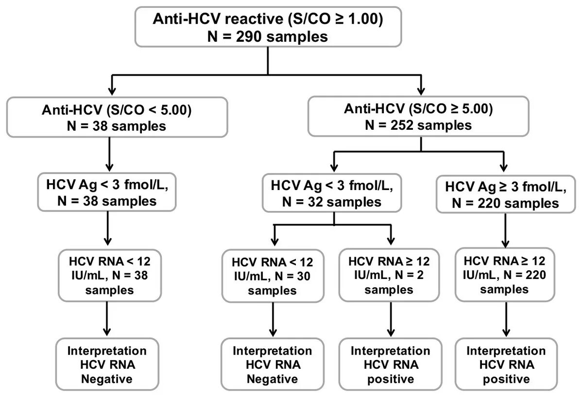 Hcv rna. Анти HCV. Анти-HCV положительный. HCV антиген. HCV И анти HCV.