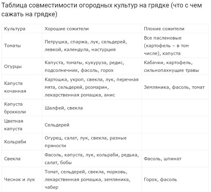 Совместимость огородных культур на грядке таблица. Соседи на грядке совместимость растений таблица. Соседи на огороде совместимость растений таблица. Морковь соседи по грядке овощи таблица. Лук после помидор можно