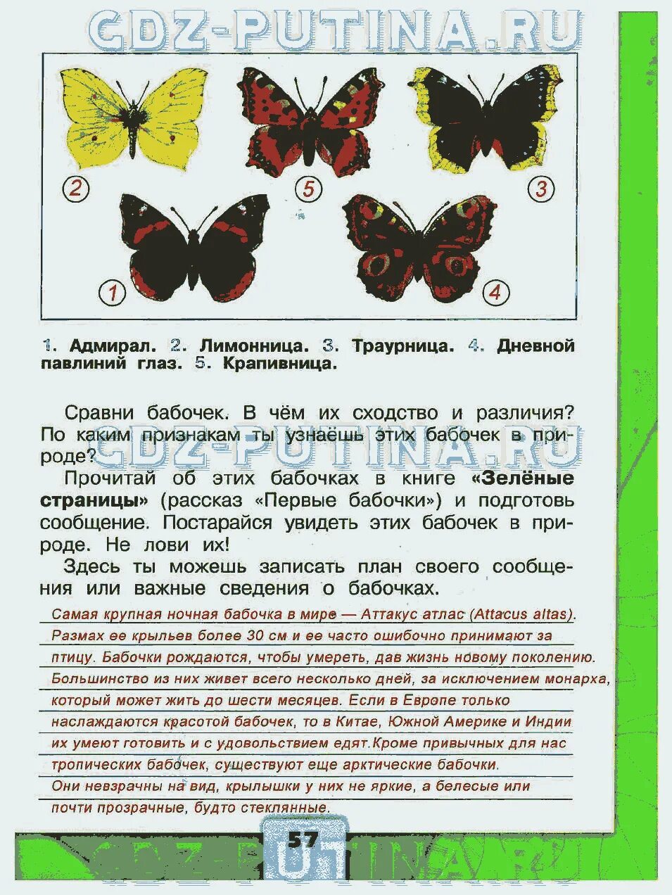 Бабочки 2 класс окружающий мир рабочая тетрадь