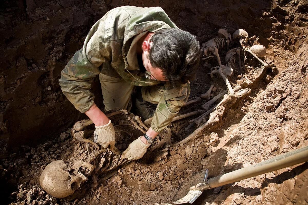 Военные находки. Поисковые отряды раскопки.