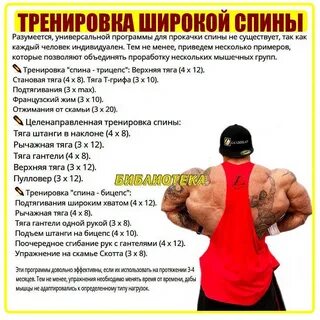Упражнения на бицепс и спину в зале