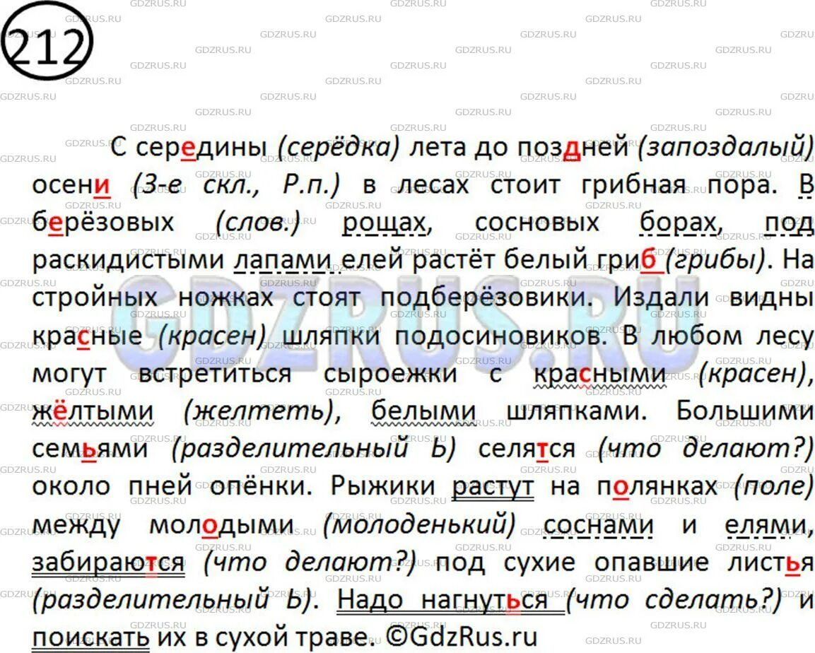 Диктант в лес за грибами. Диктант грибники. Диктант про грибы. Русский язык 5 класс ладыженская. С середины лета до поздней осени.