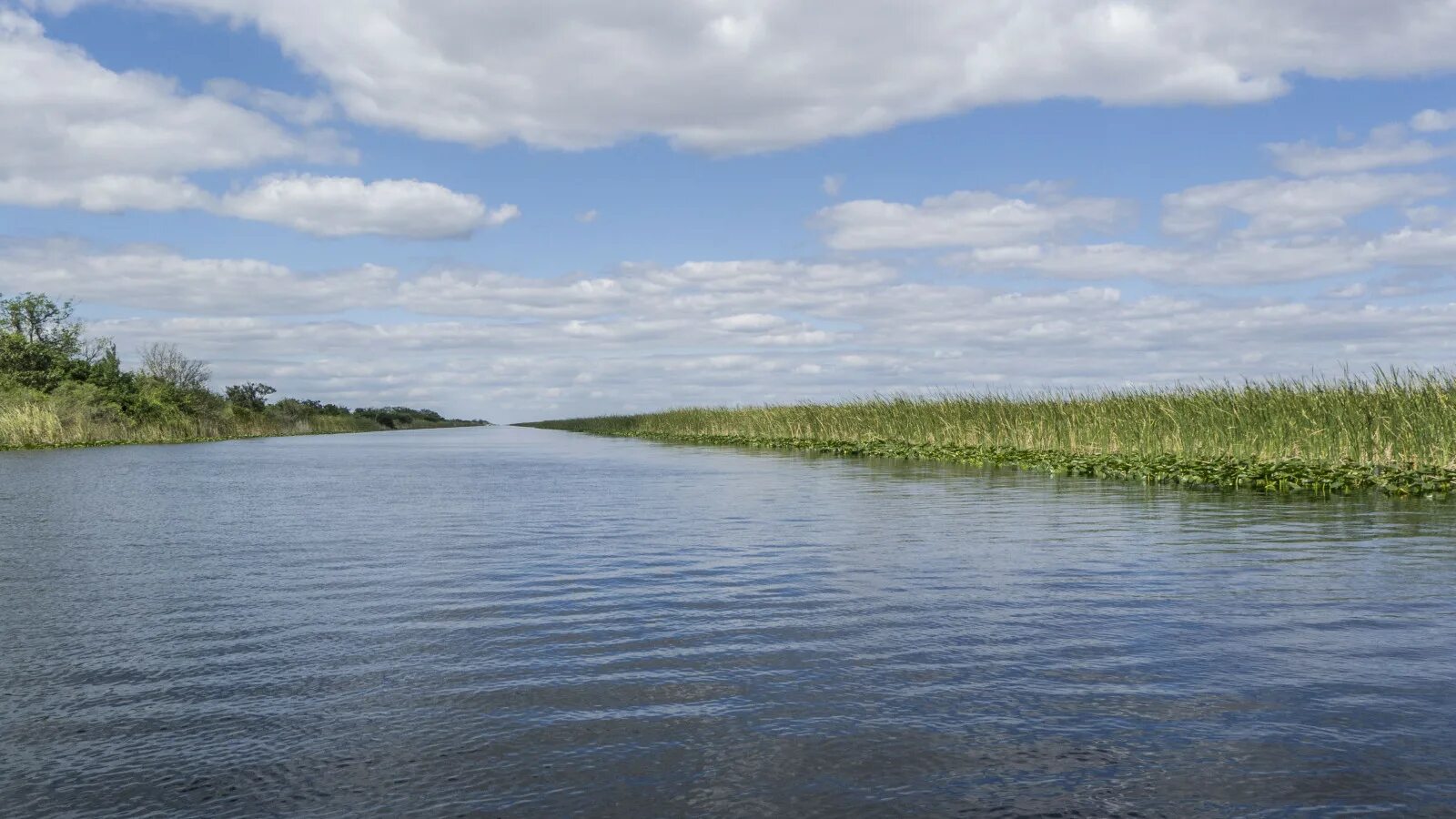 От волги до енисея россия моя. Элазыг потоки воды. Форест северная осетия. Исключите реку. Алтай тигирекский заповедник.