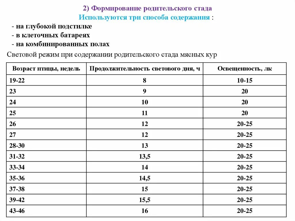 Нужно ли цыплятам ночью свет. Таблица освещения для цыплят бройлеров. Световой режим выращивания бройлеров. Световой режим для цыплят бройлеров Кобб 500. Режим освещения для цыплят бройлеров.