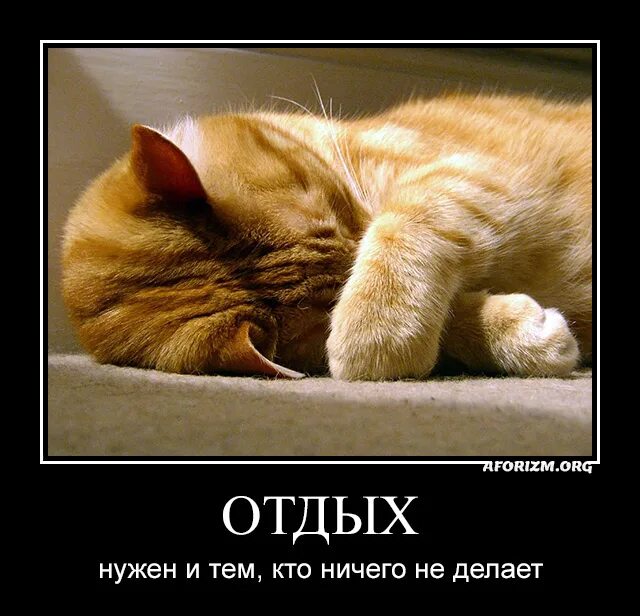 1 день ничего
