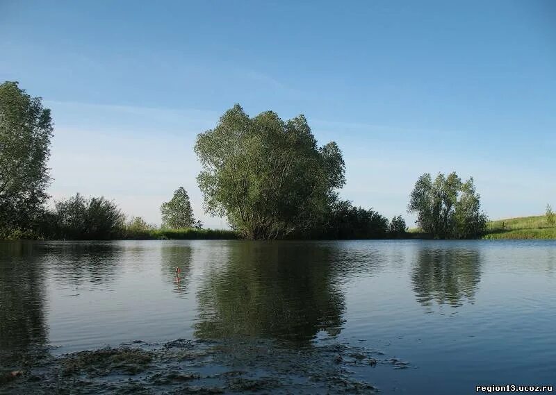 Пруды мордовии. Кадышевский пруд Мордовия. Река Грачевка рыбалка. Мордовский пруд Алексин. Масловский пруд Мордовия.