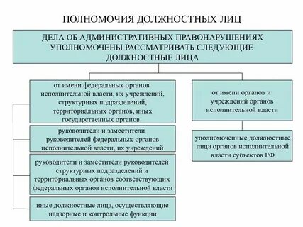 Должностное лицо органа ведущего