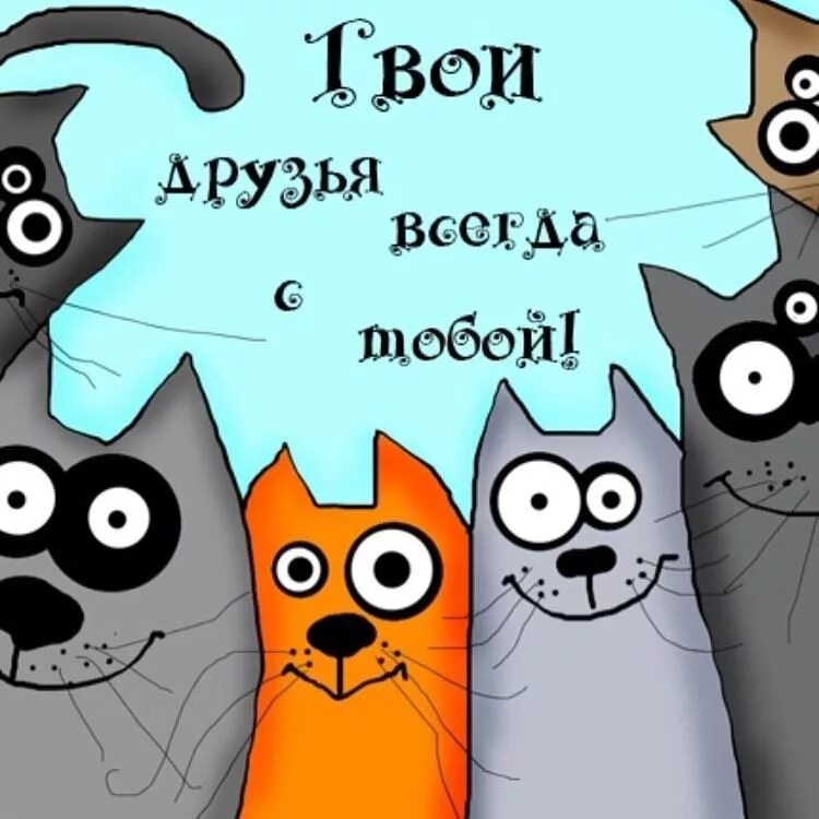 Друг всегда с тобой. Твои друзья всегда с тобой. друзья прикольные картинки. картиночки для друзей. открытки для друзей прикольные.