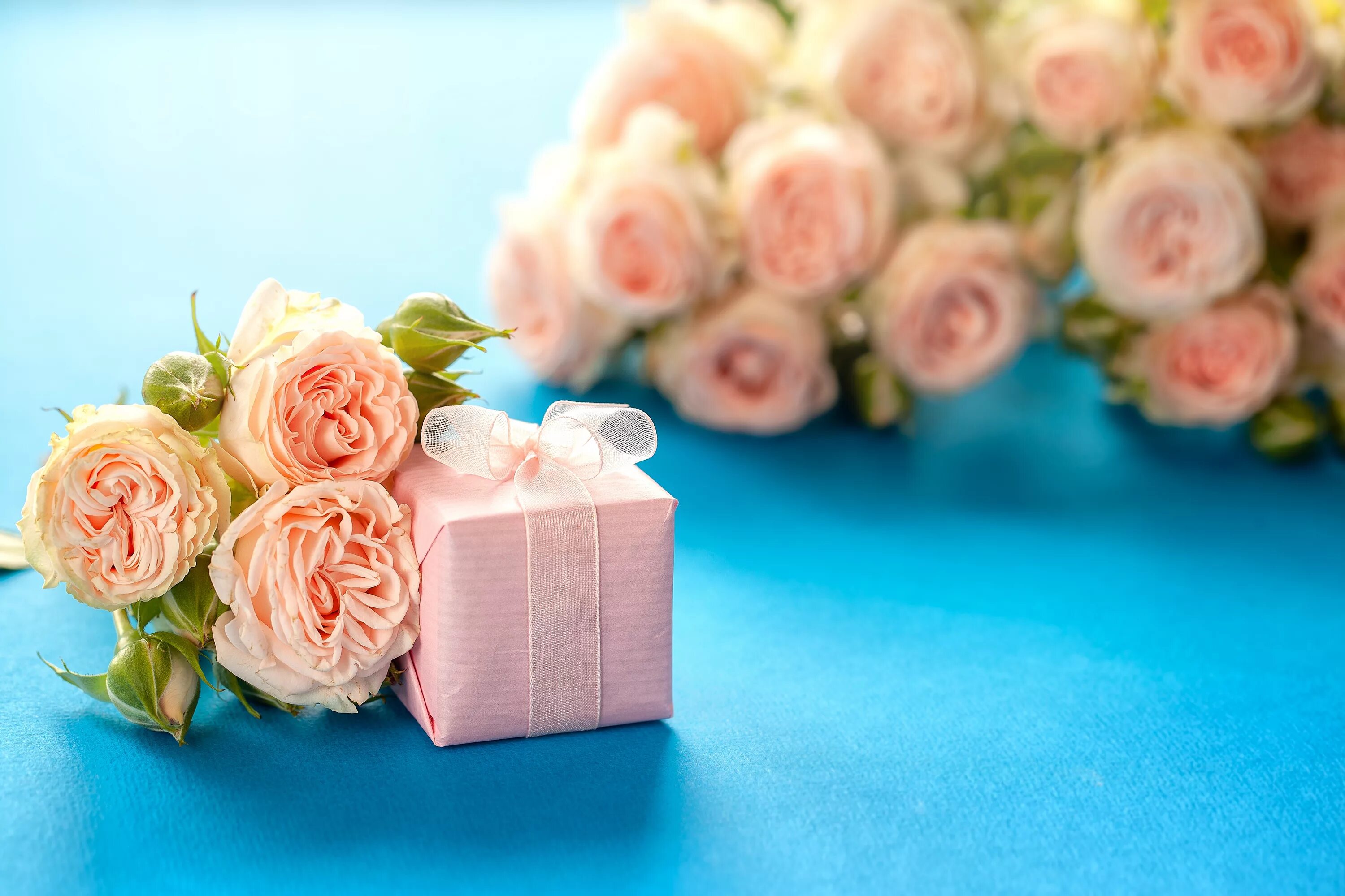 Нежность в подарок. Нежный цветок. Букет цветов фон. Нежный букет на день рождения. Розовые розы и подарок.