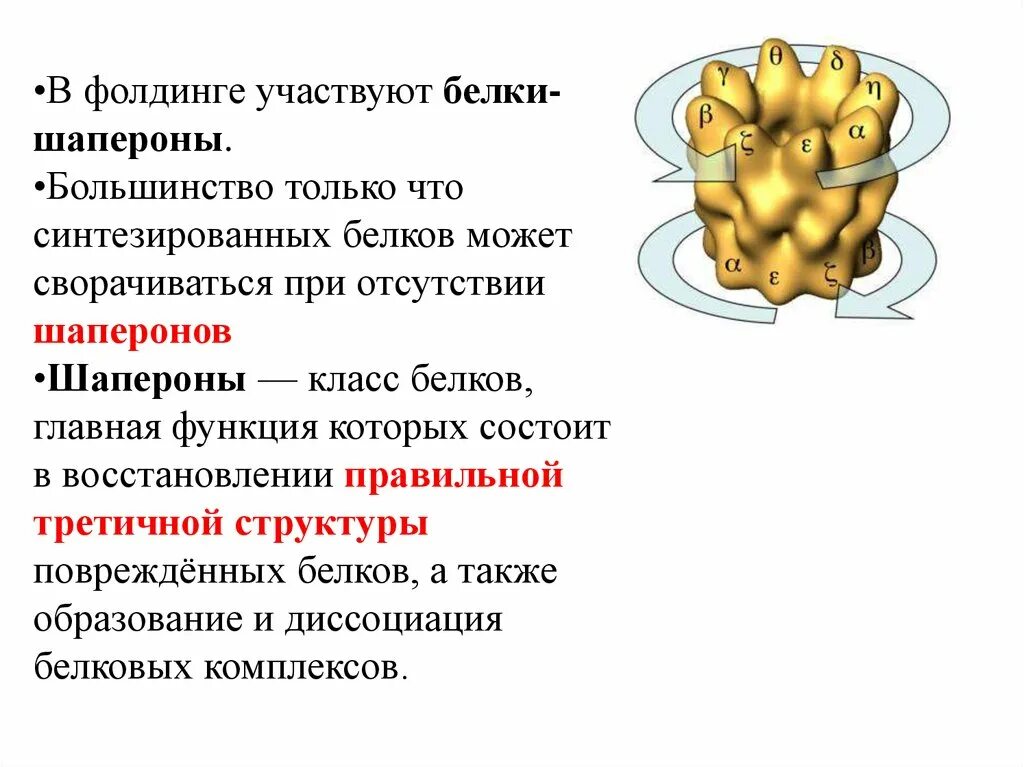 Желток и белок. Горение белка химическая реакция. Изучение свойств белка. Препараты повышающие белок в моче. Состав рвотных масс.