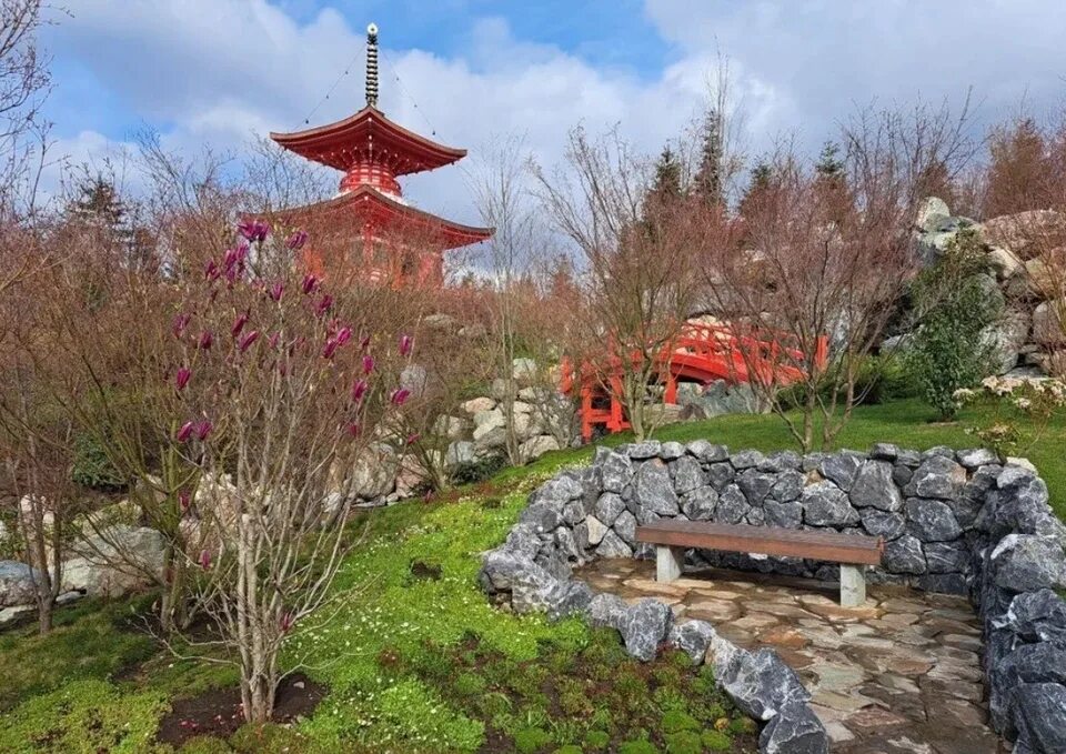 Сайт галицкого японский сад
